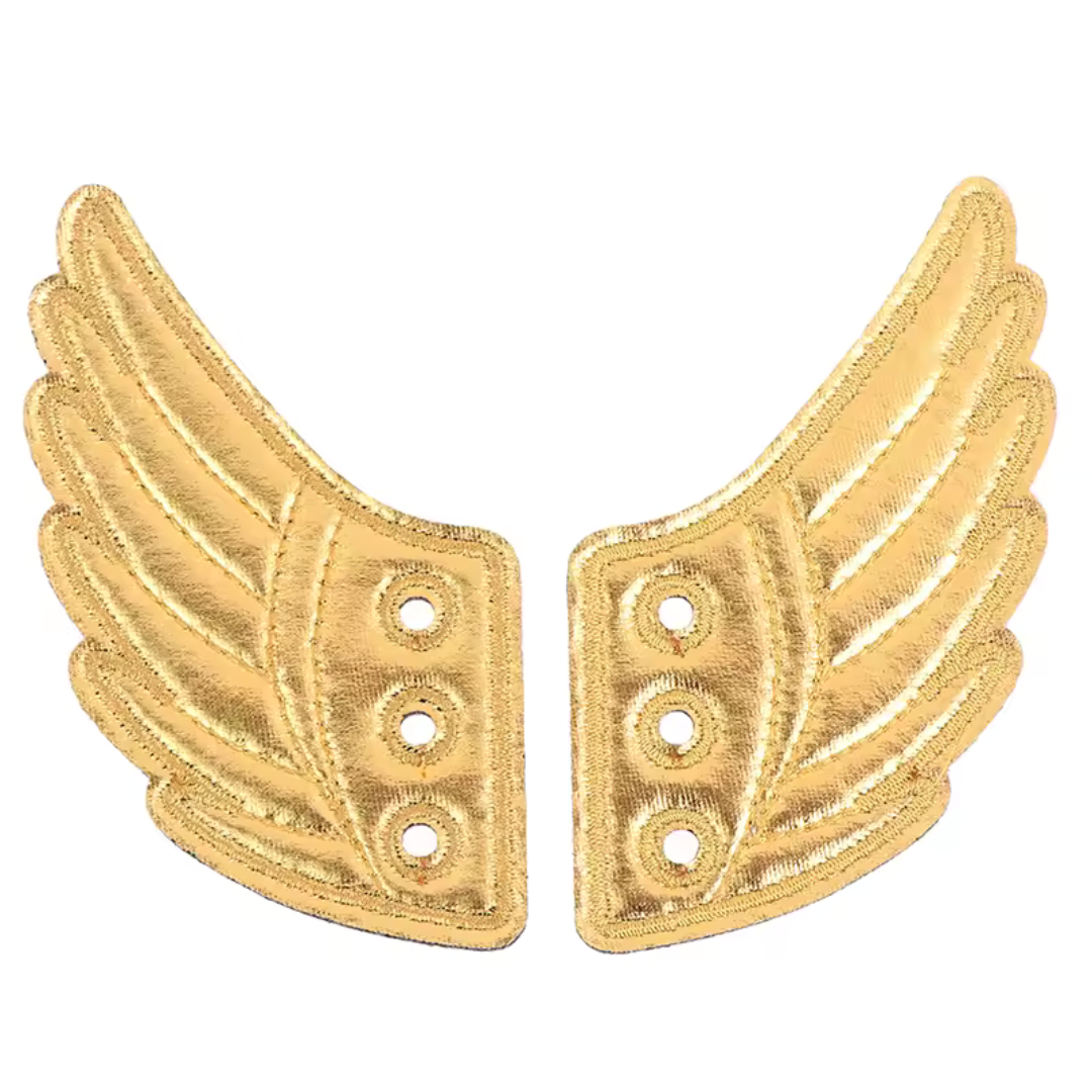 Trainer & Boot Wings pair
